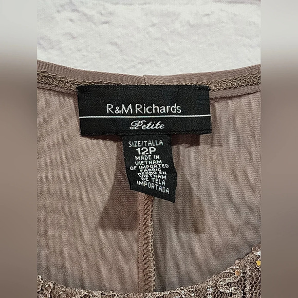 R&M Richards taupe midi dress with embellished neckline. Size 12P - Picture 4 of 4